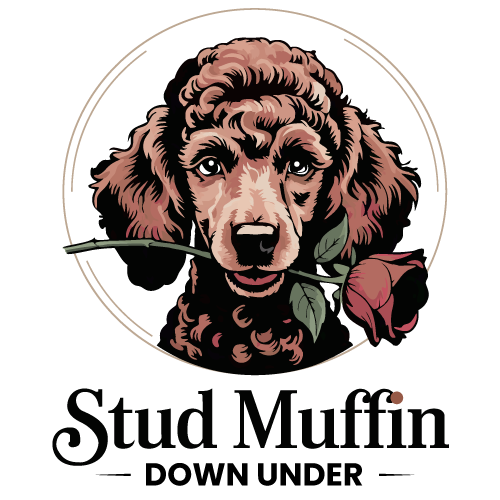Poodle Stud services Logo